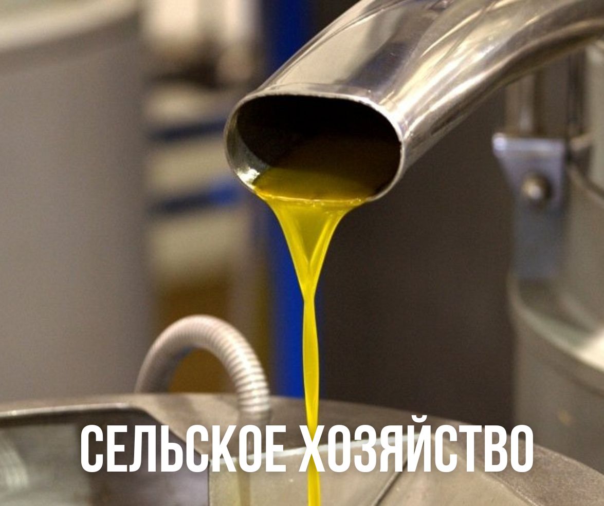 Сельское хозяйство и животноводство